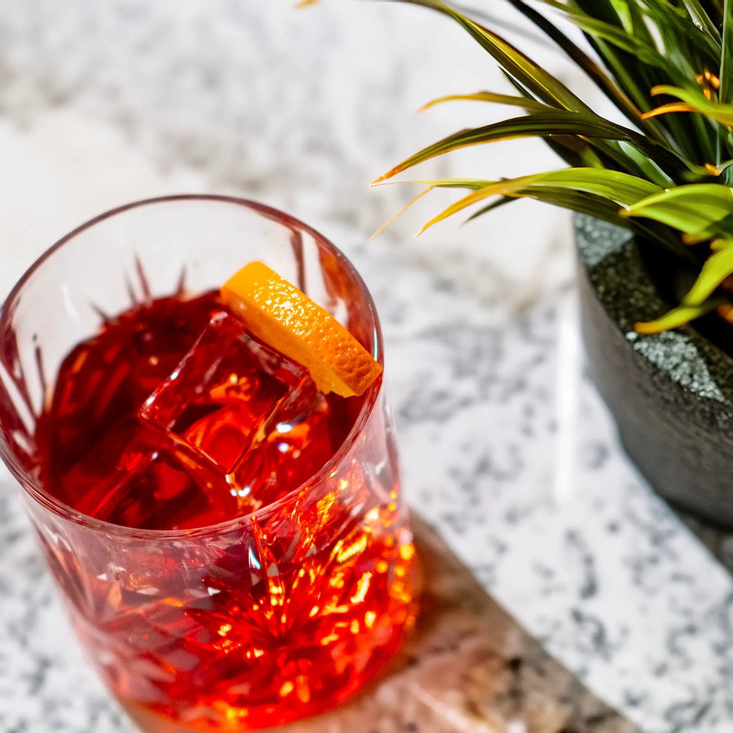 Fresh Negroni